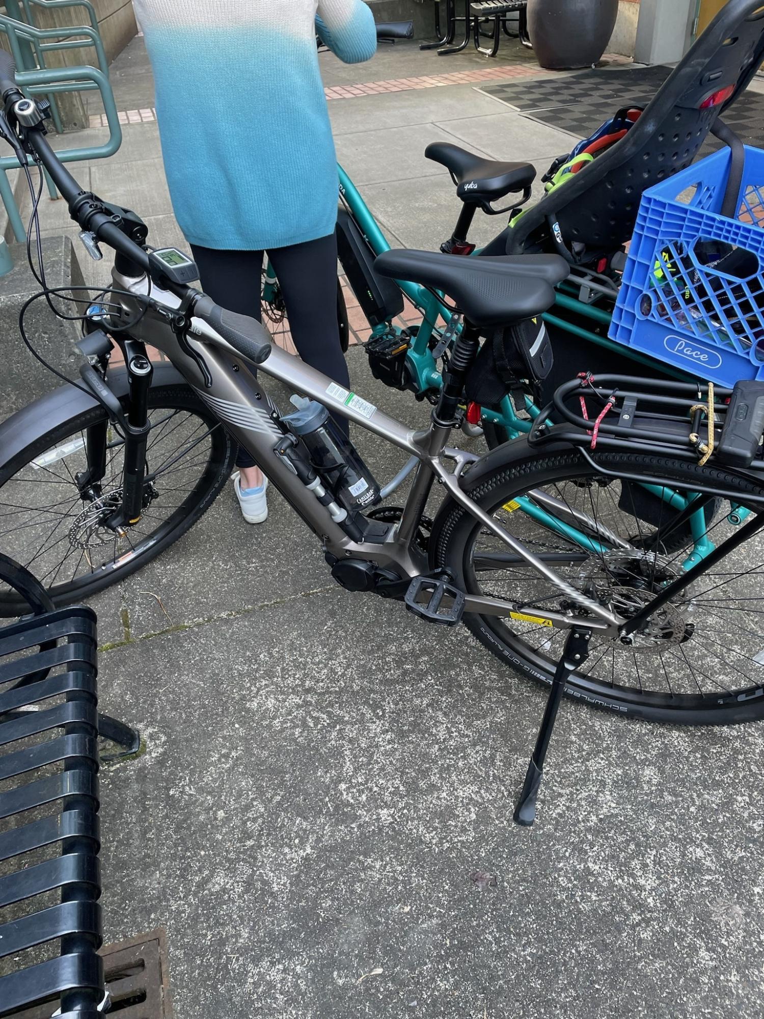 2021 Tesoro nea x1 Large Silver, gray or bare metal and Black