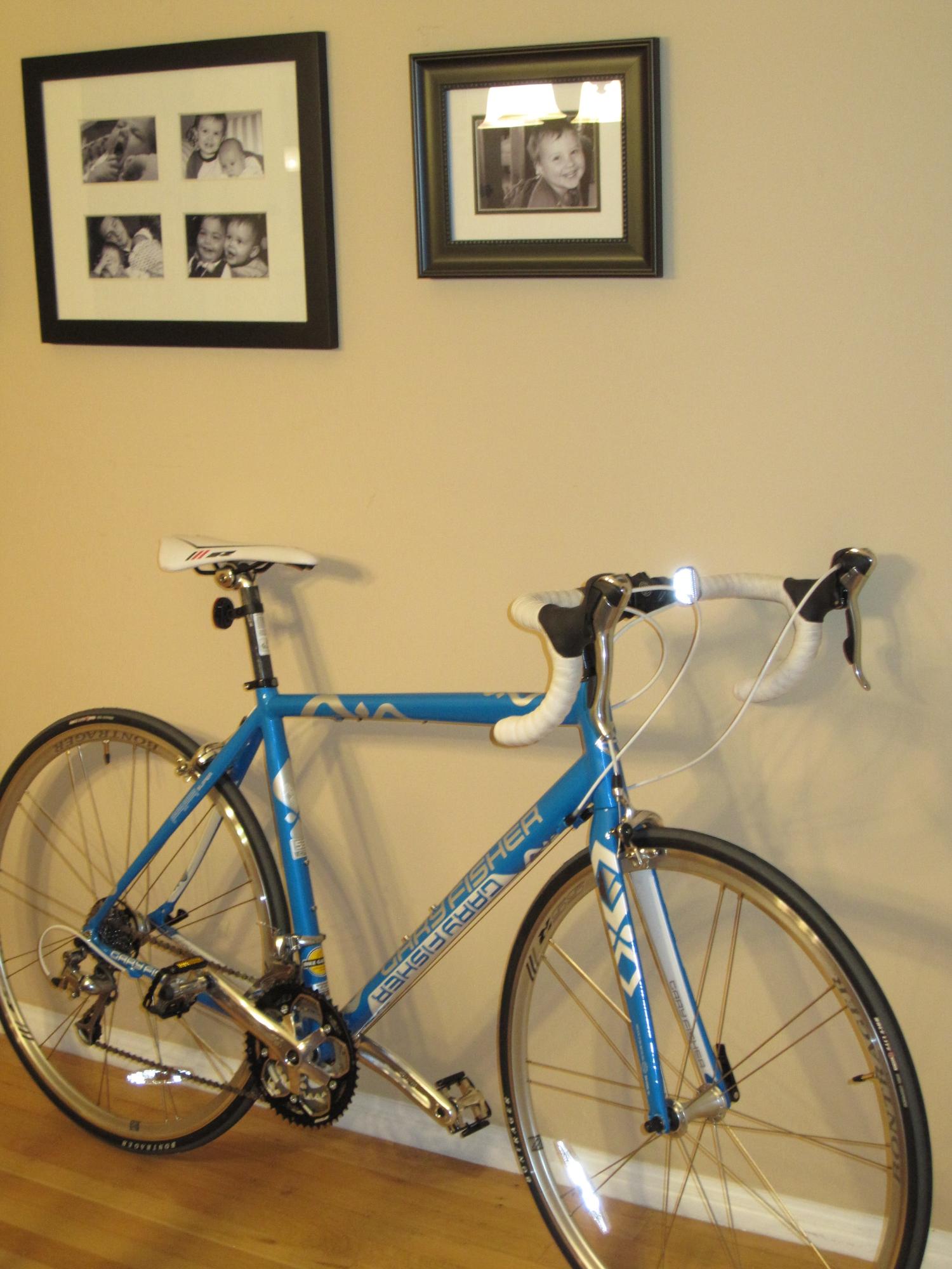 2010 Gary Fisher Blue