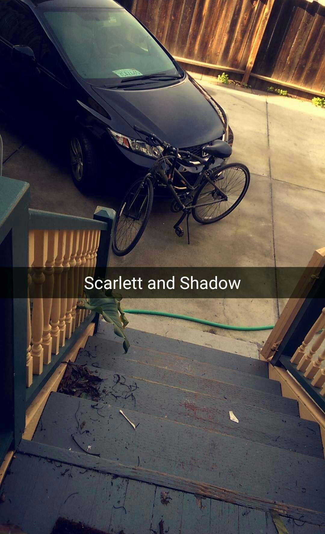 2013 Giant Silver or Gray