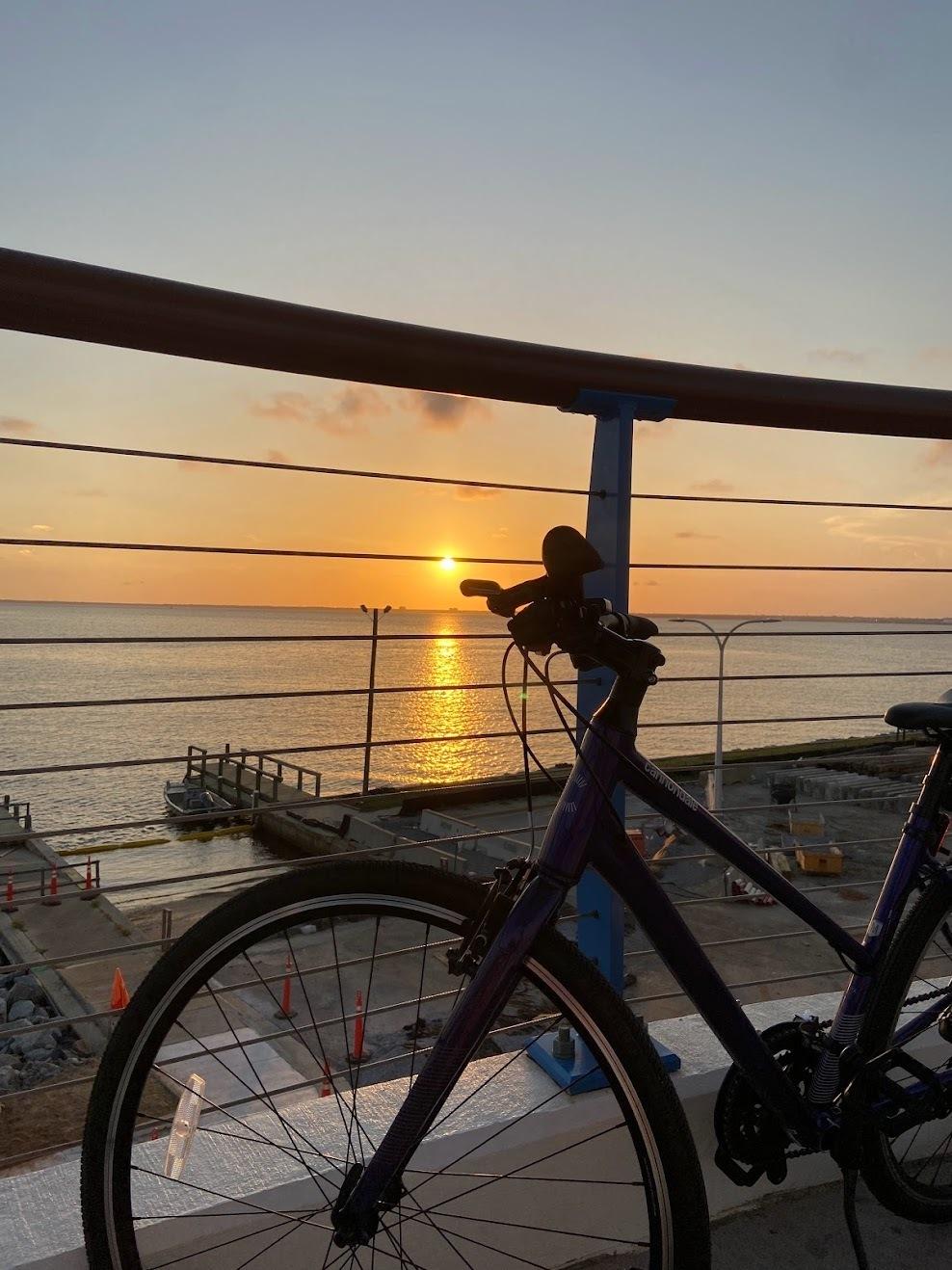 2023 Cannondale Quick 6 Remixte Purple