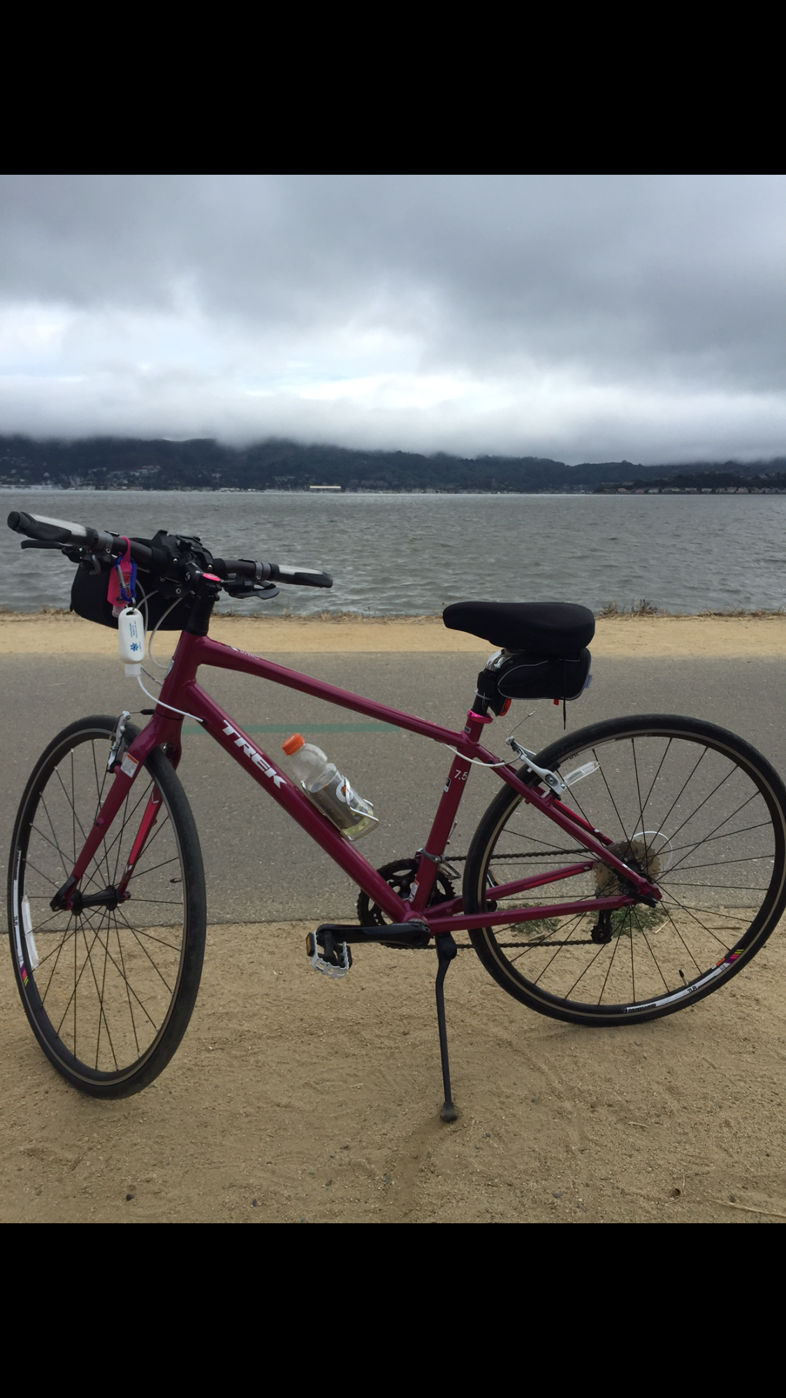 2015 Trek Pink