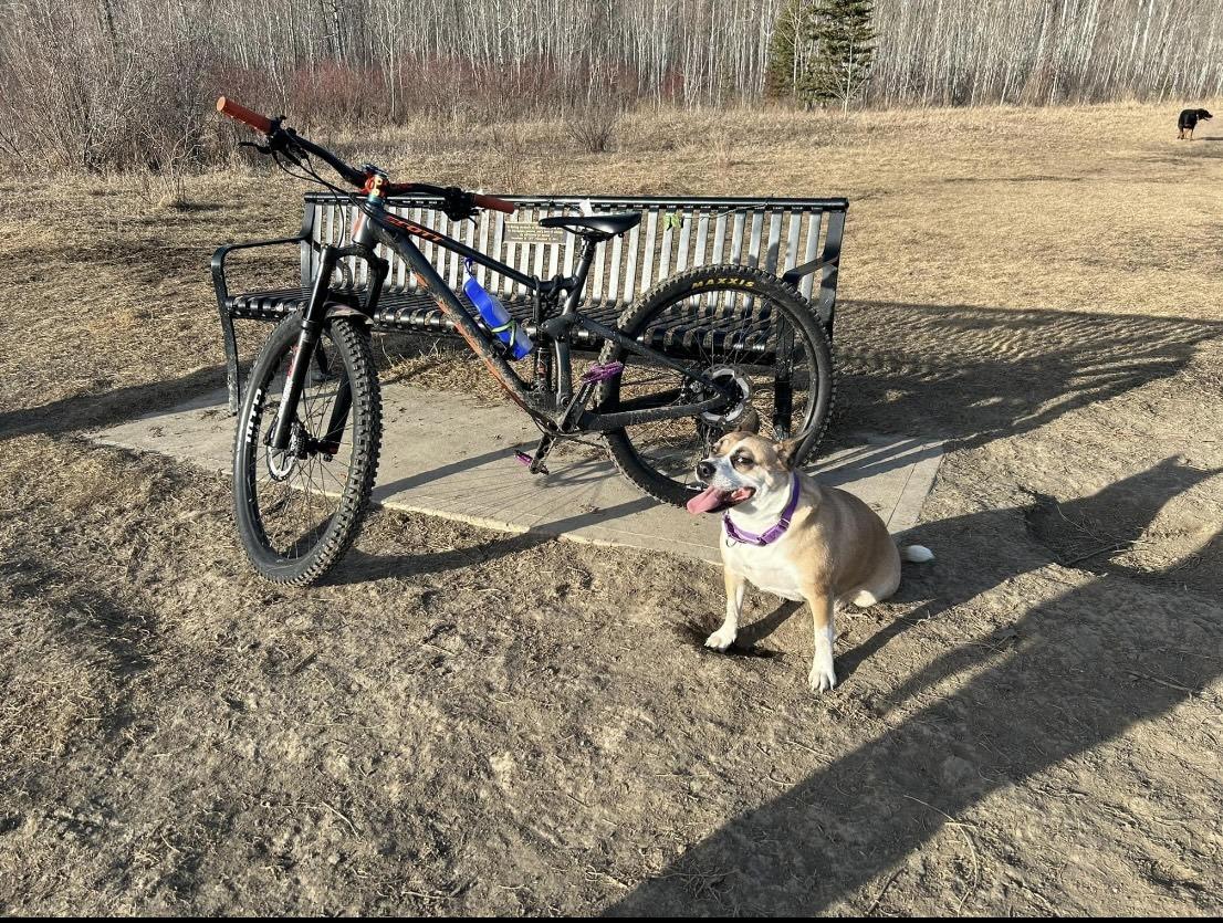 2021 SCOTT Spark 960 Dark Silver, gray or bare metal