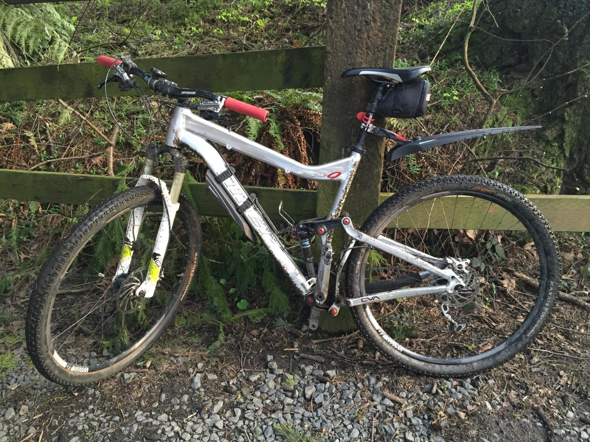 2011 Niner Niner RIP Silver, gray or bare metal