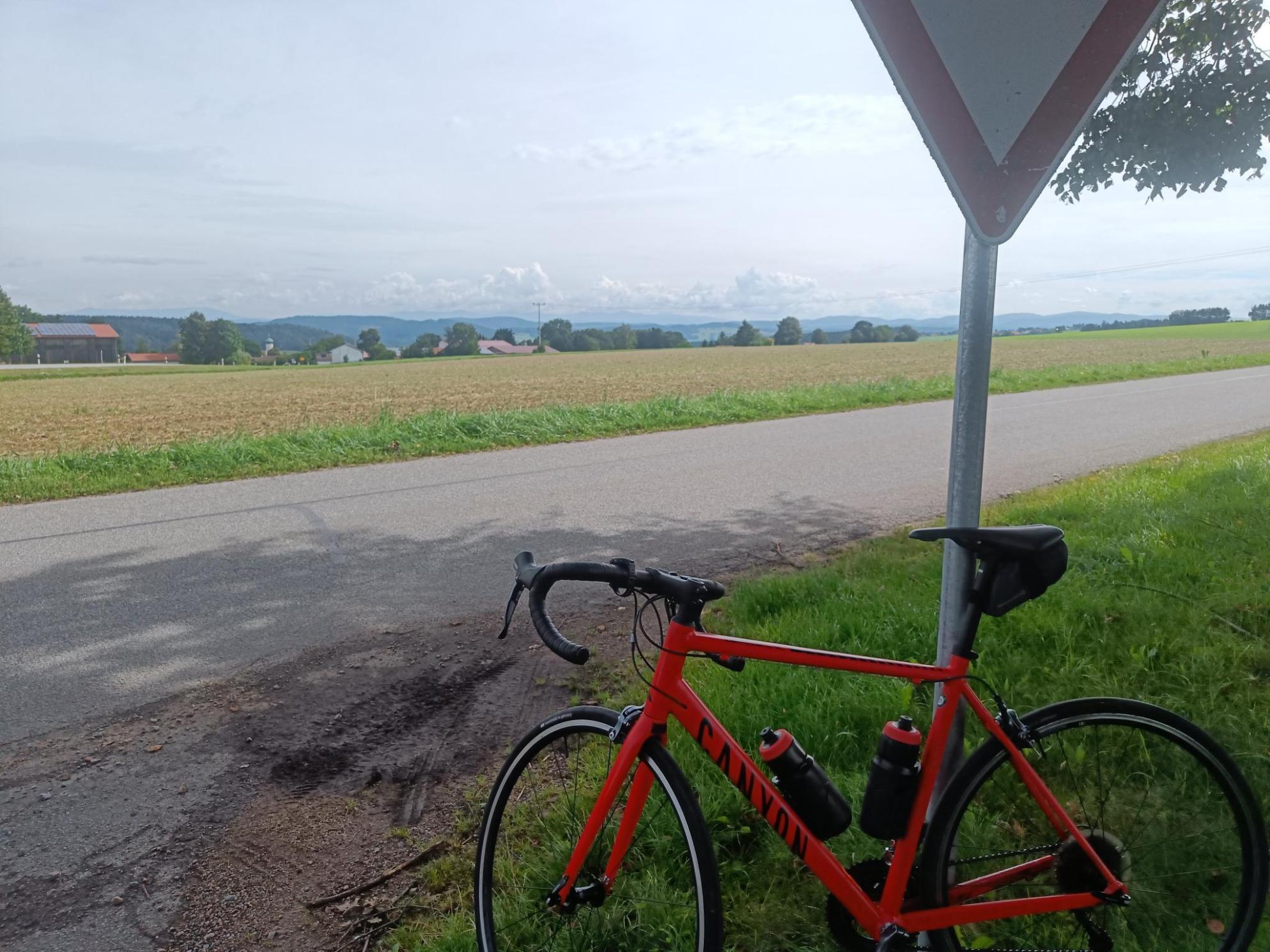 2021 Canyon bicycles Endurace 6 AL Red