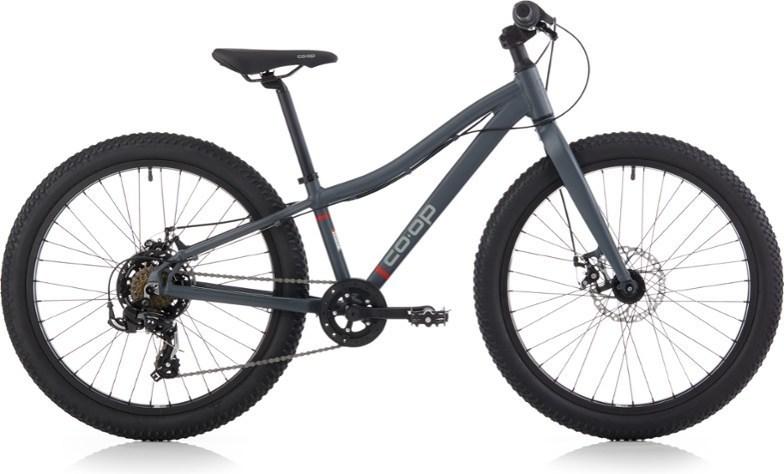 2020 REI REV 24 Plus Kids' Bike Silver, gray or bare metal