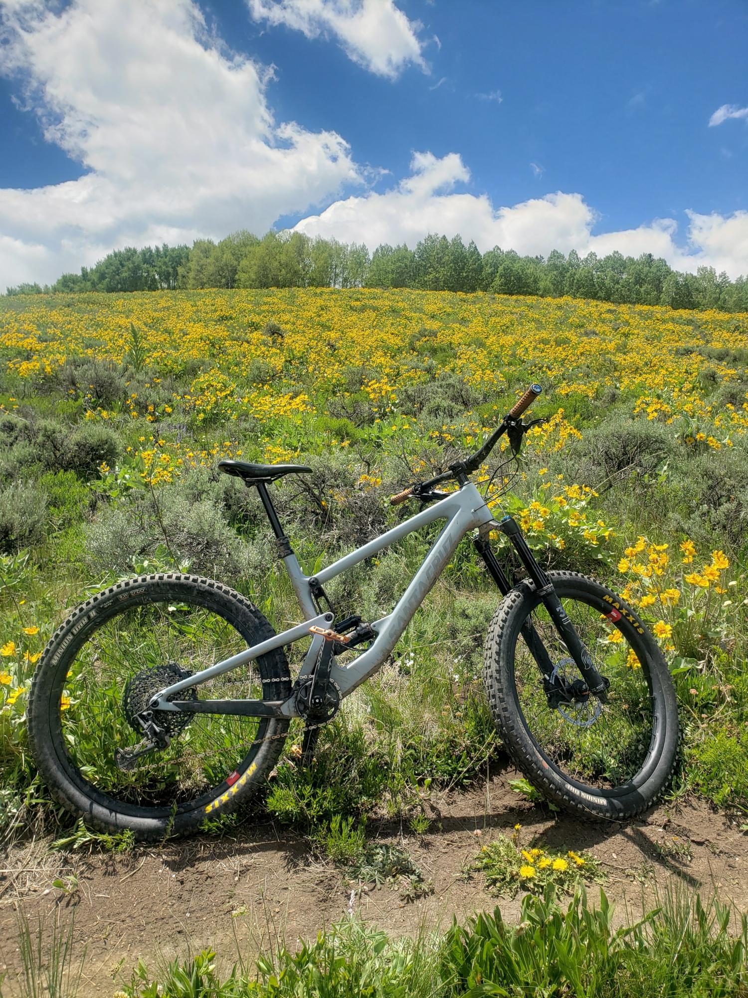 2019 Santa Cruz Bronson Silver, gray or bare metal