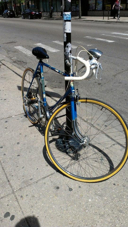 1980 Sears Roebuck Ted Woilliams Ted Williams  Blue