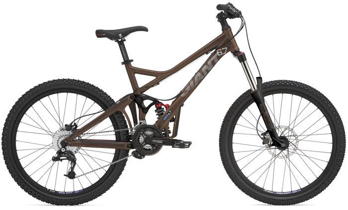 2007 Giant Brown