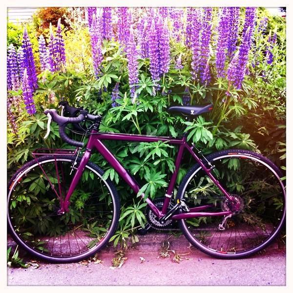 2011 Norco CCX-3  Purple