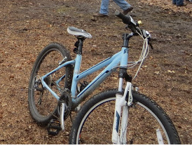 2013 Trek Skye  Blue