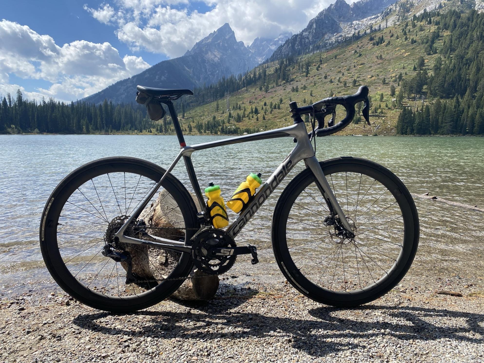 2018 Cannondale Synapse Carbon disc di2 Silver, gray or bare metal