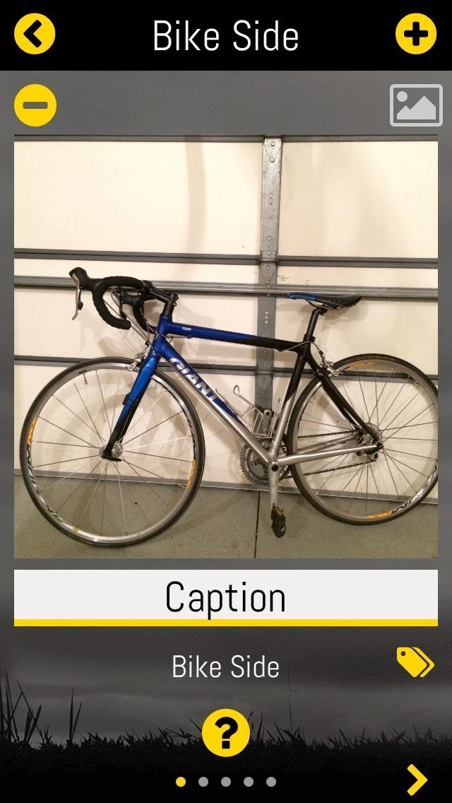 Giant TCR A0  Blue and Silver or Gray