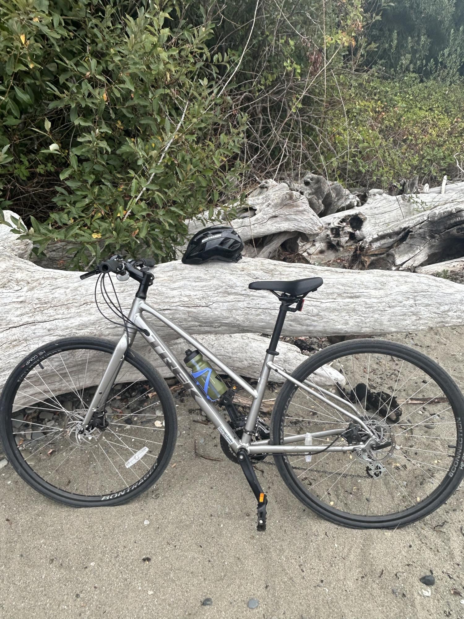 2021 Trek FX1 Silver, gray or bare metal