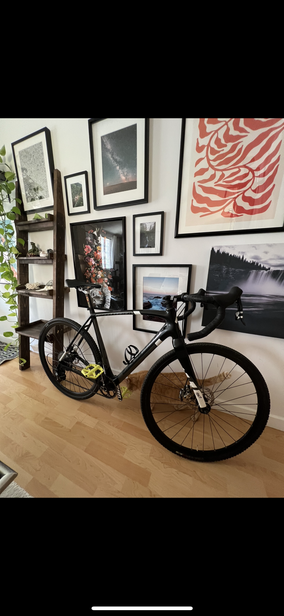 Specialized CruX Comp Apex Black