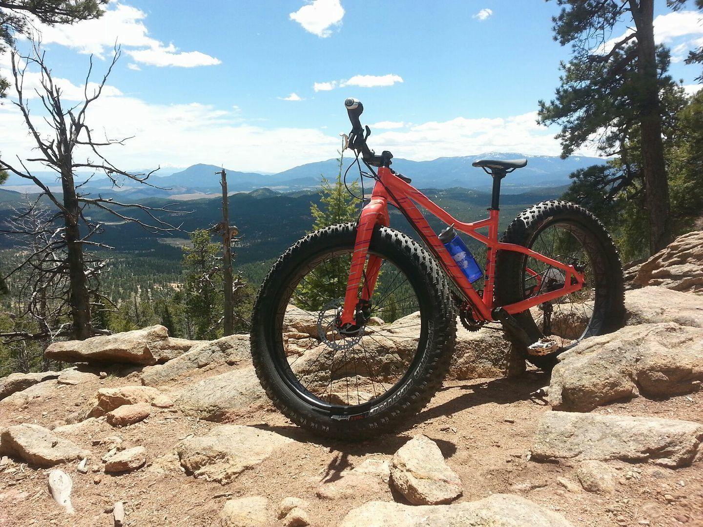 2017 Specialized Hellga Orange