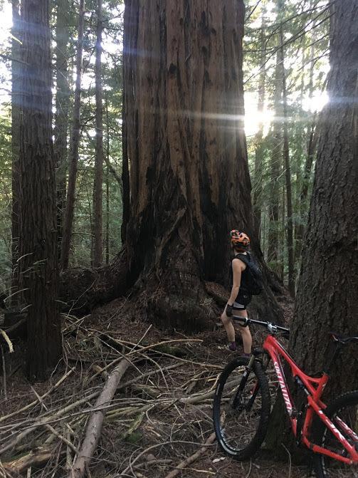 2013 Specialized Epic Comp Red