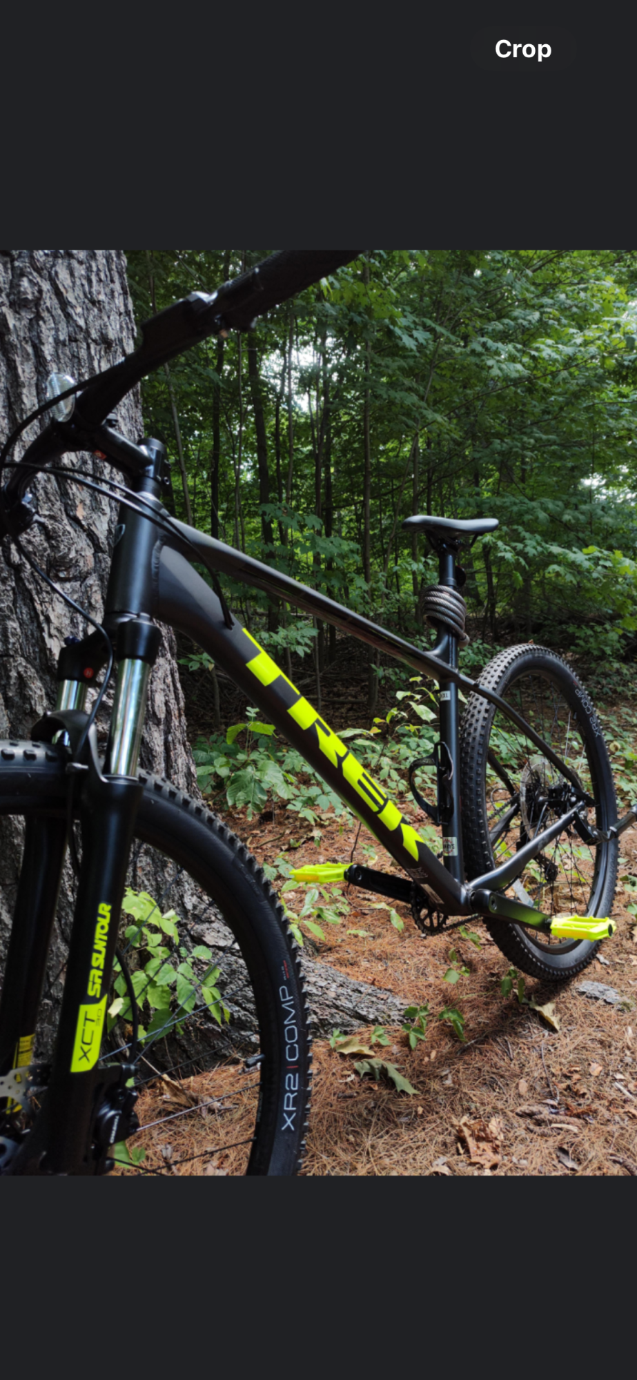 2022 Trek 2022 Black