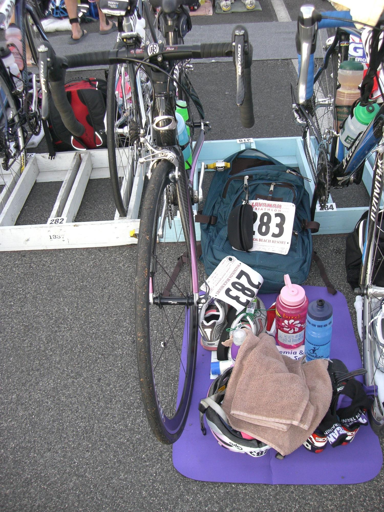 2007 Orbea DIVA Purple