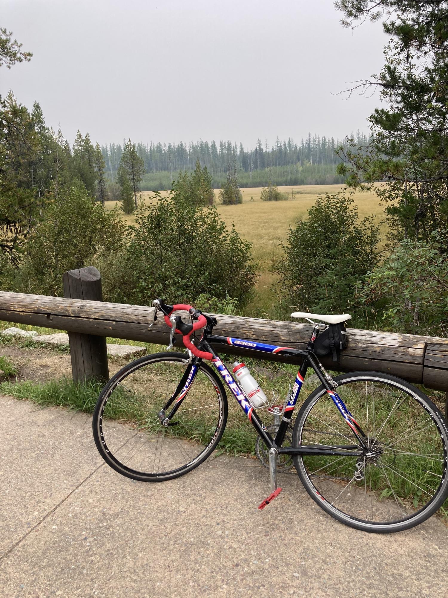 2005 Trek 2300 Black and Blue