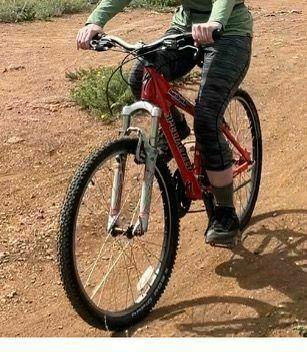 2024 Specialized Rockhopper Red