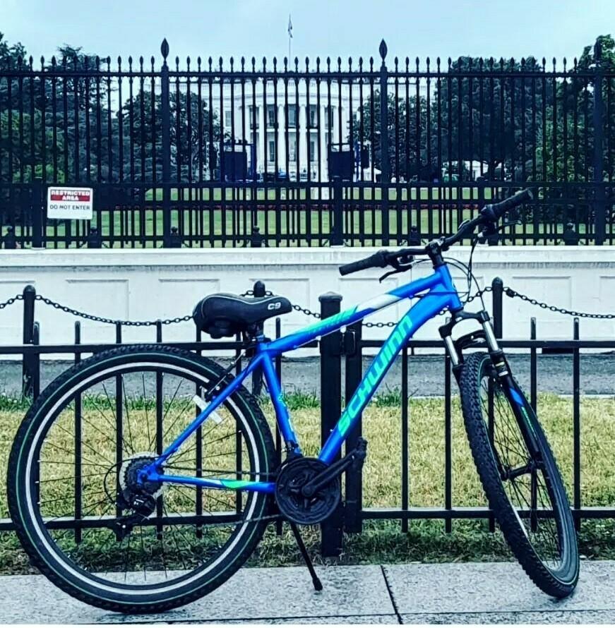 2023 Schwinn High Timber Blue