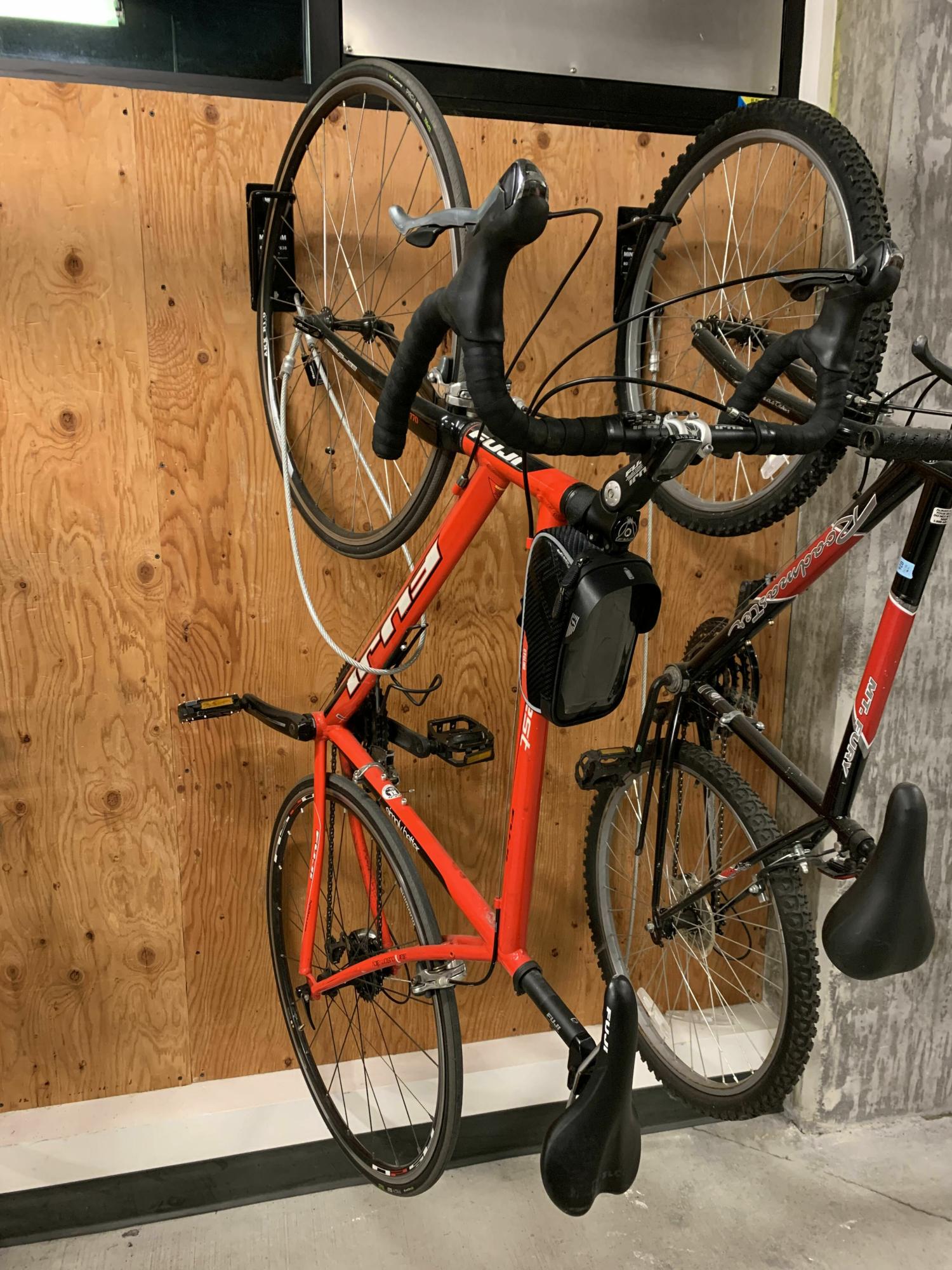 2009 Fuji Newest 1.0 Red