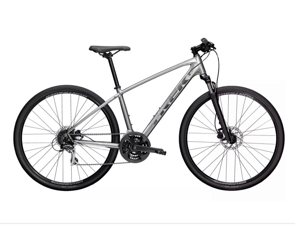 2021 Trek Dual Sport 2 L SL Silver, gray or bare metal