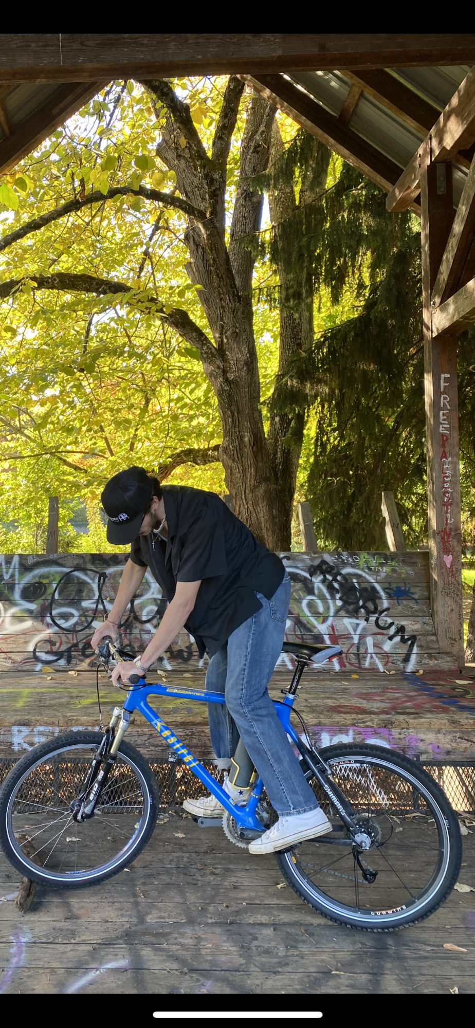 2000 Kestrel CSX Blue and Yellow or Gold