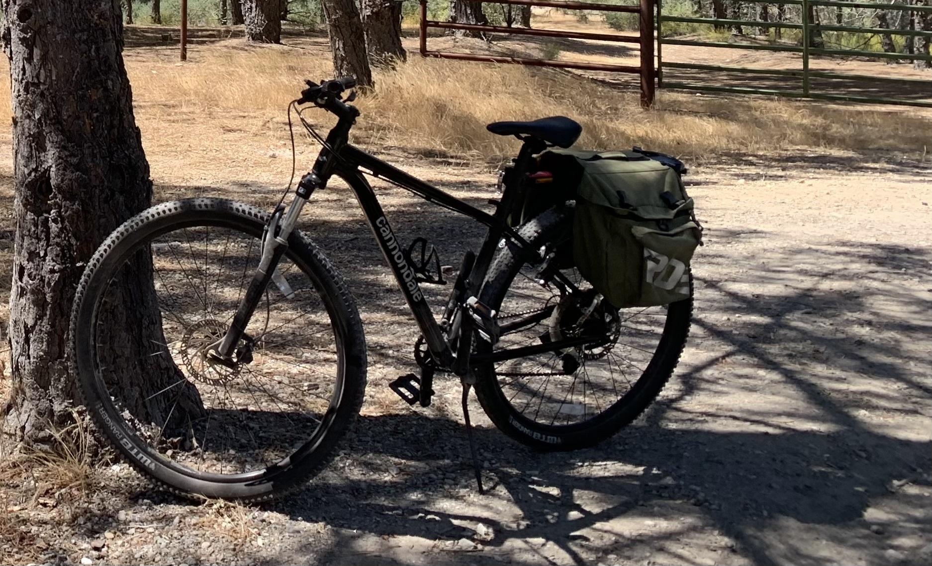 2023 Cannondale Trail 5 Black
