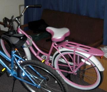 2010 Schwinn Cruiser (0 speed)  Pink