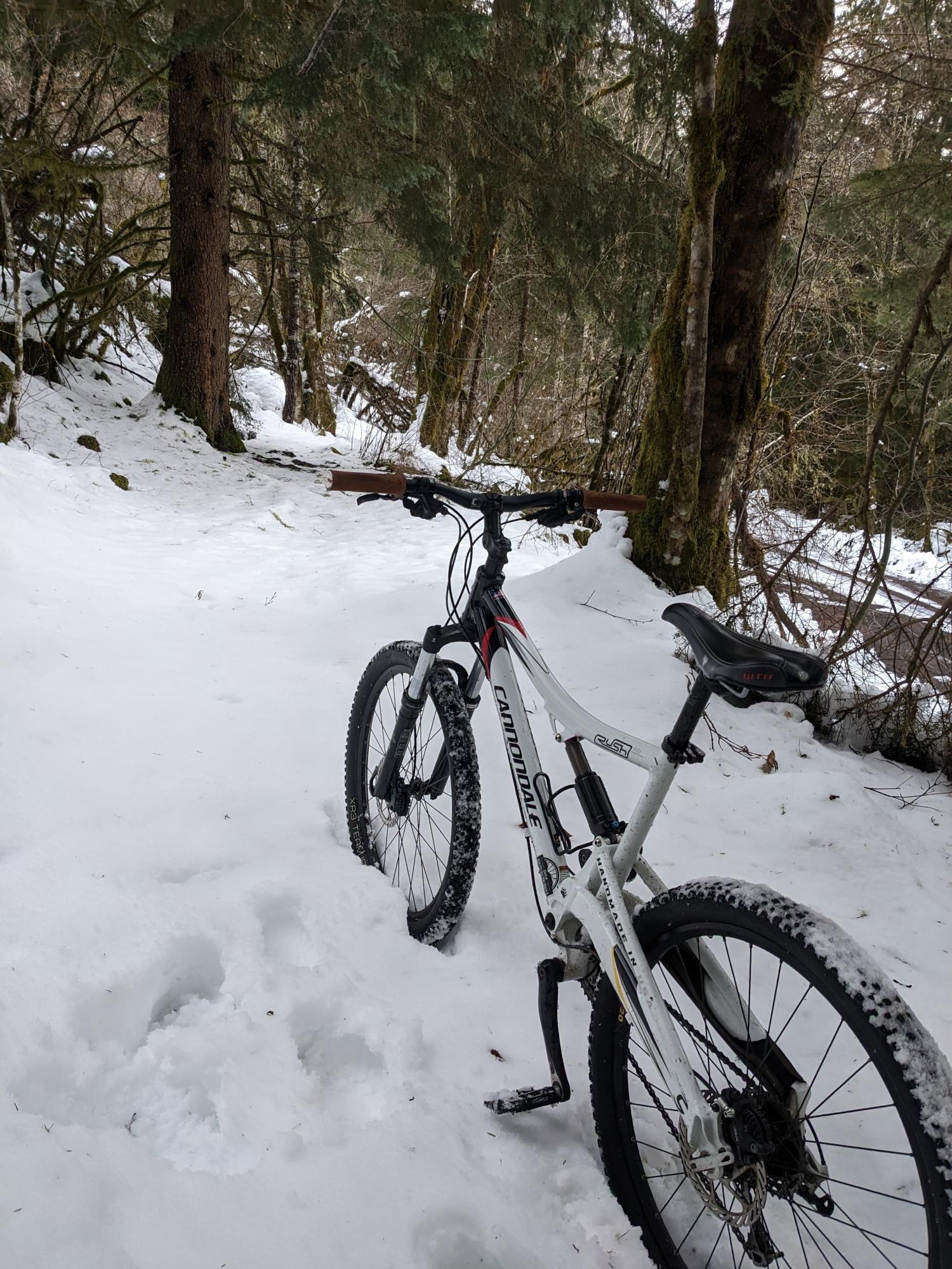 2009 Cannondale White