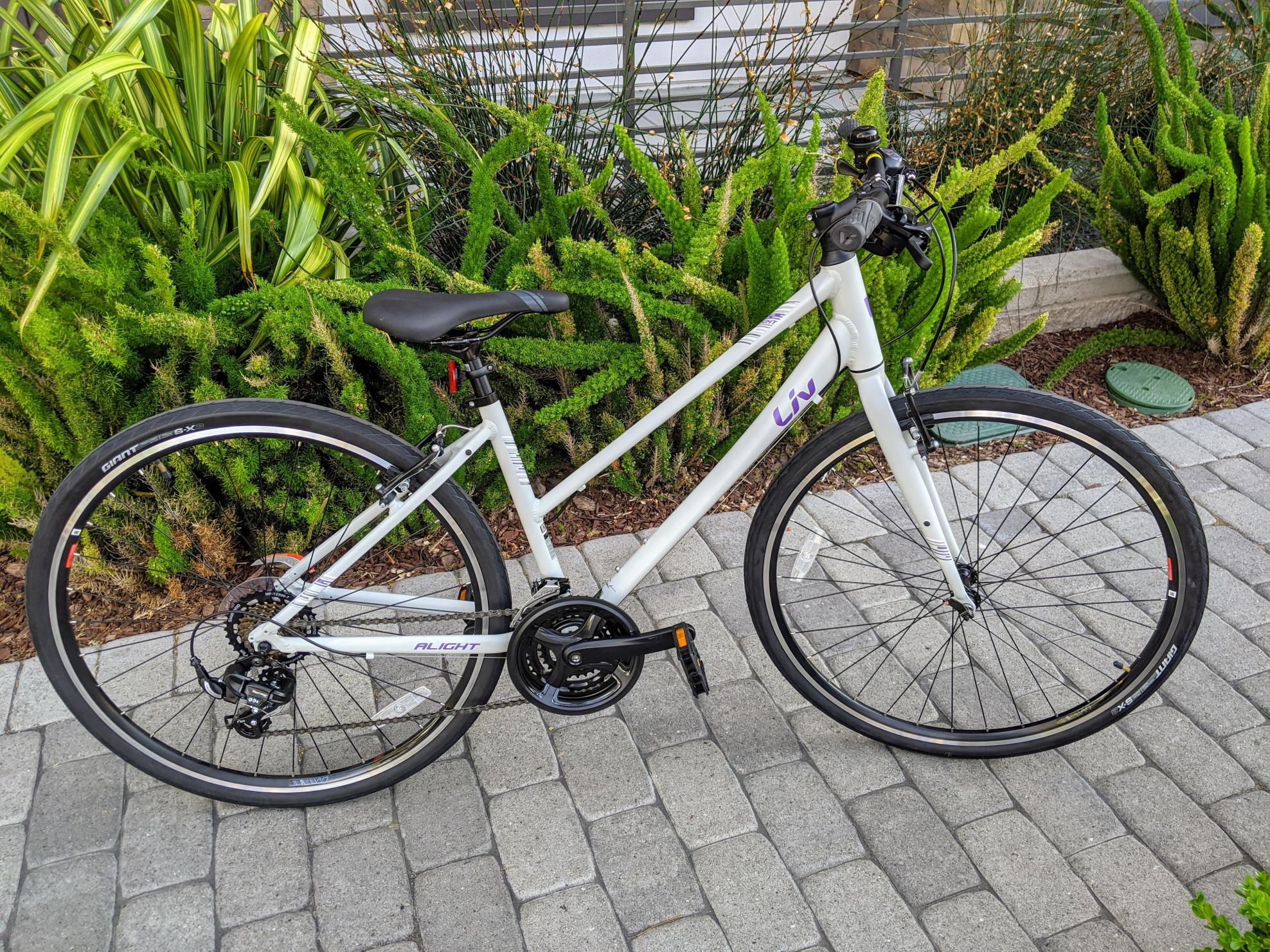 2020 Liv liv-alight-3 Silver, gray or bare metal