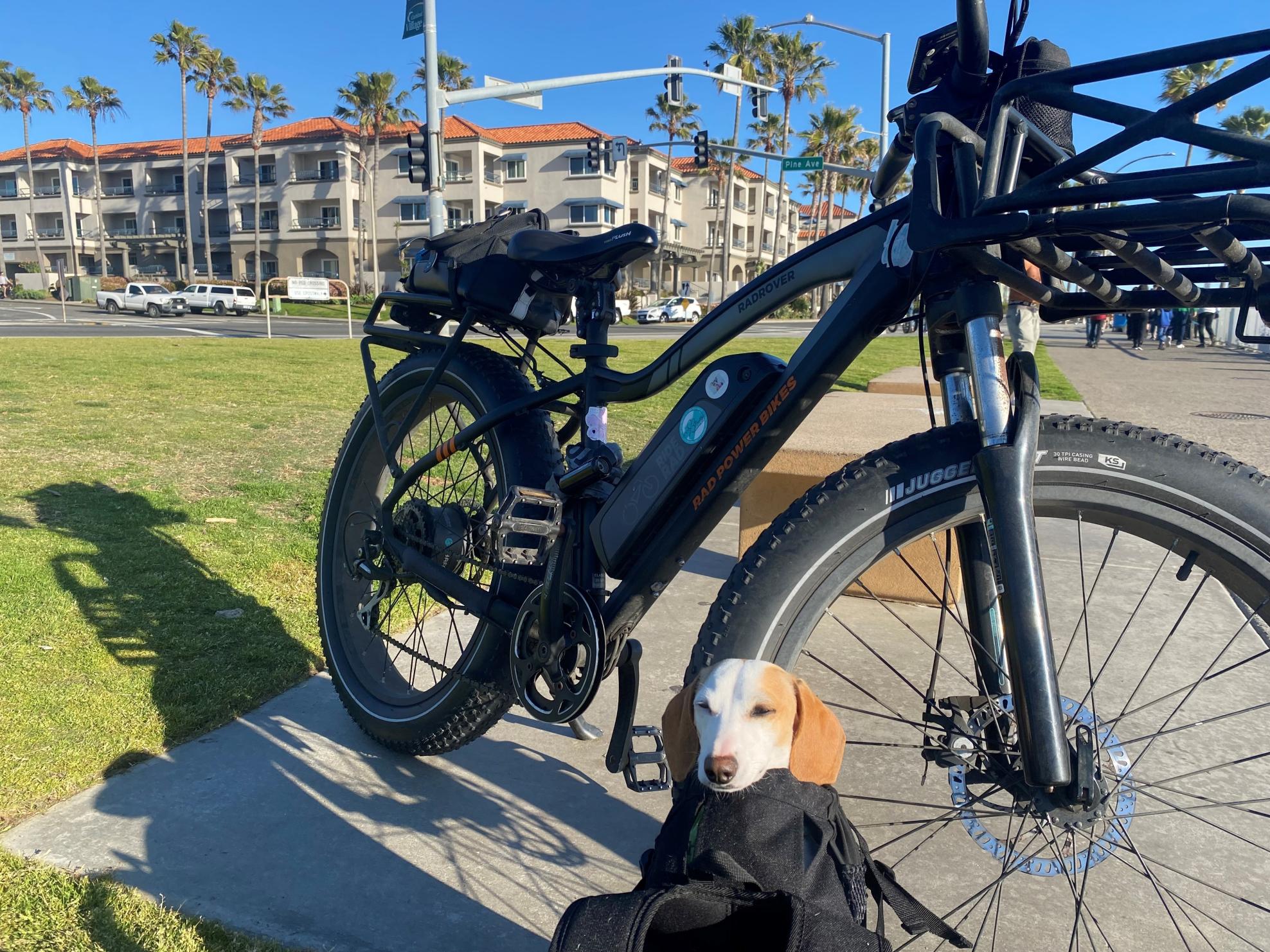 2019 Rad Power Bikes Rover Black