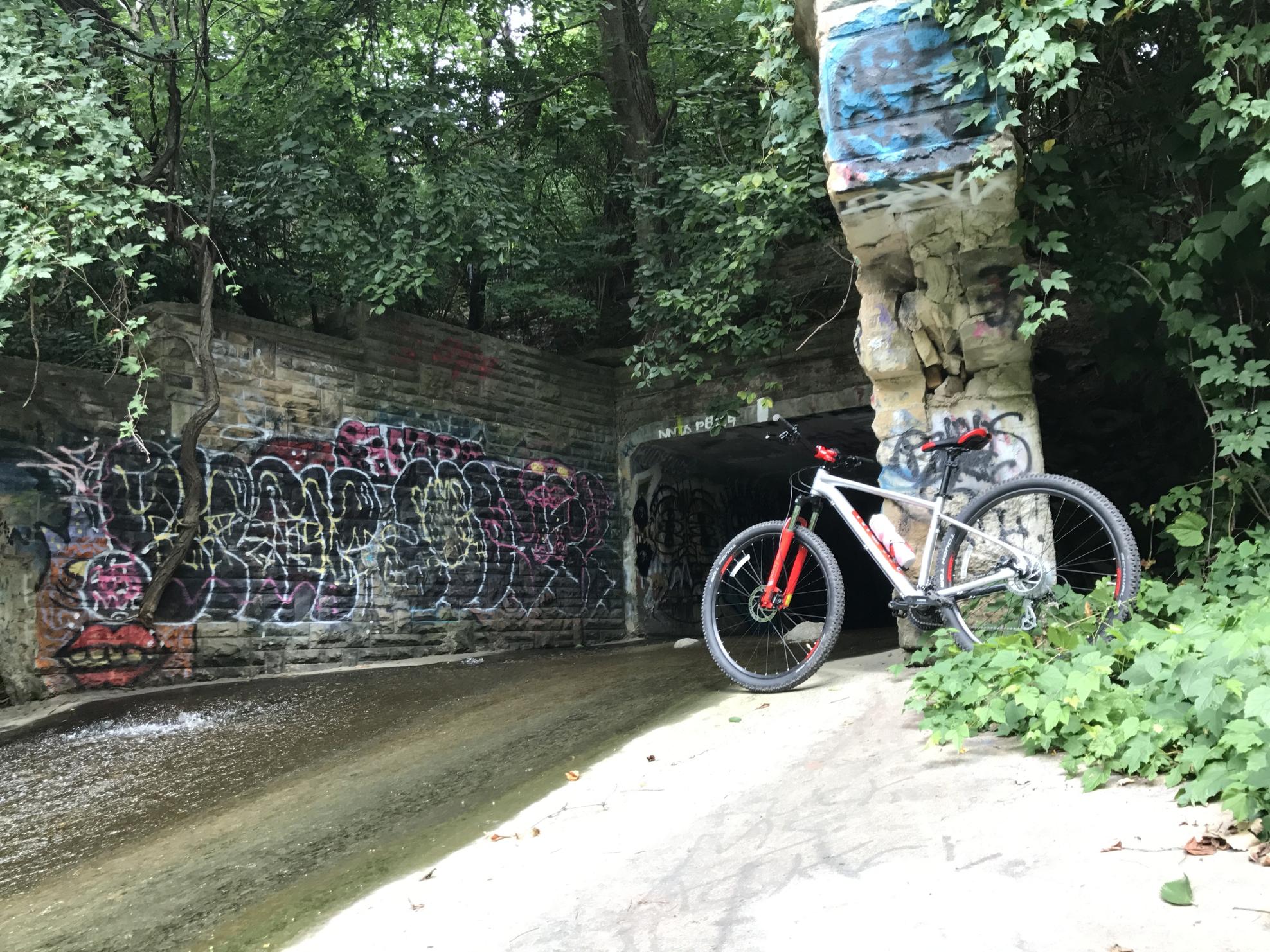 2017 Marin Bikes Bobcat 3 Silver or Gray and Red