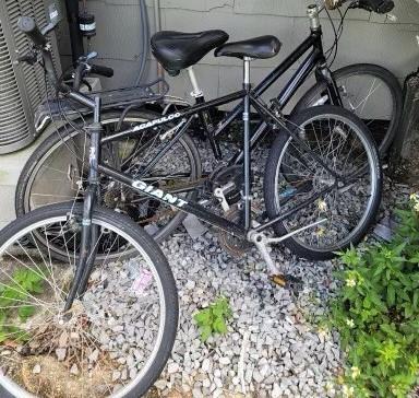 Giant Acapulco Black