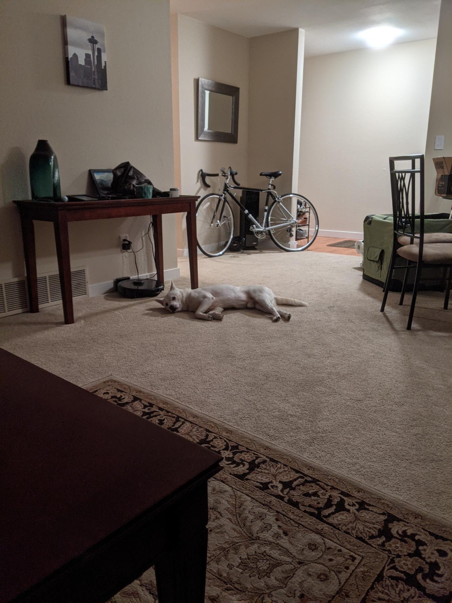 State Bicycle Co. 4130 Chromoly Steel Black and White