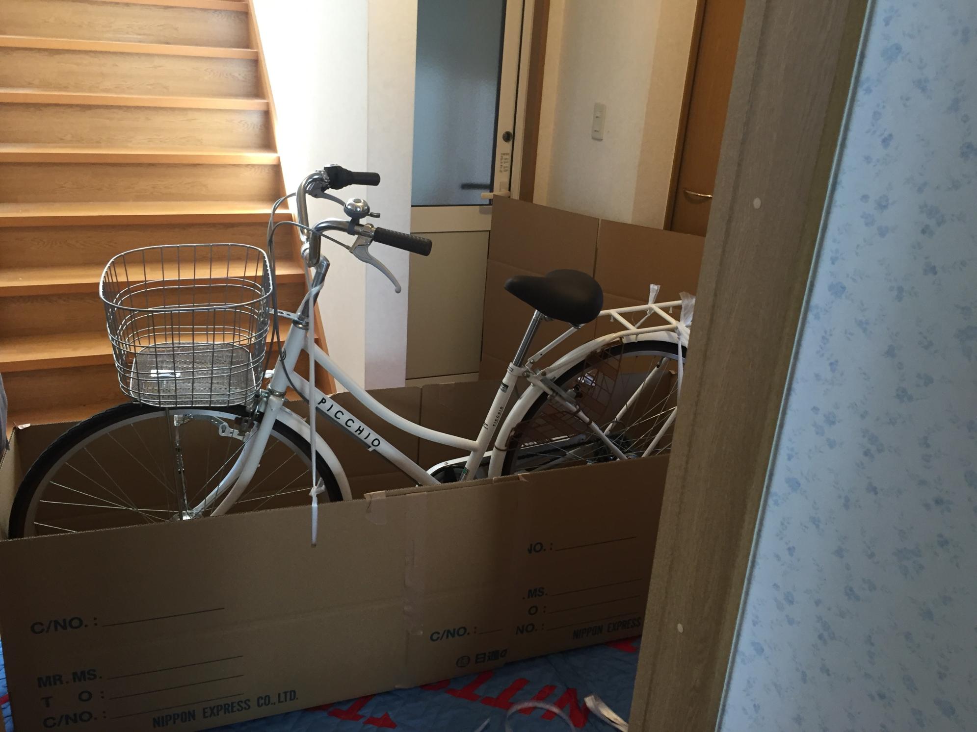 2014 Picchio N/A White