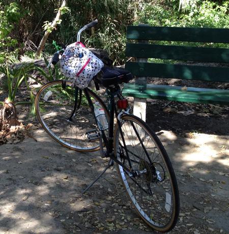 Schwinn  Black