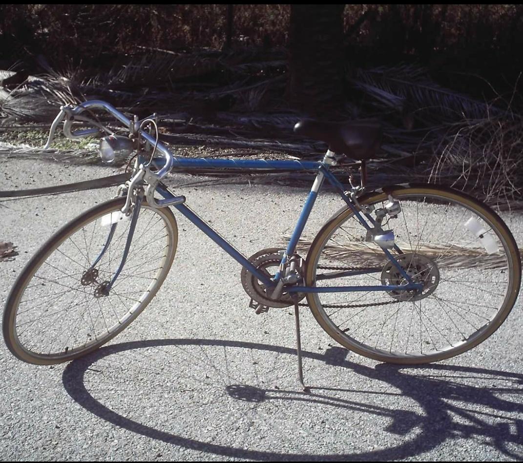 1979 Schwinn Varsity Blue