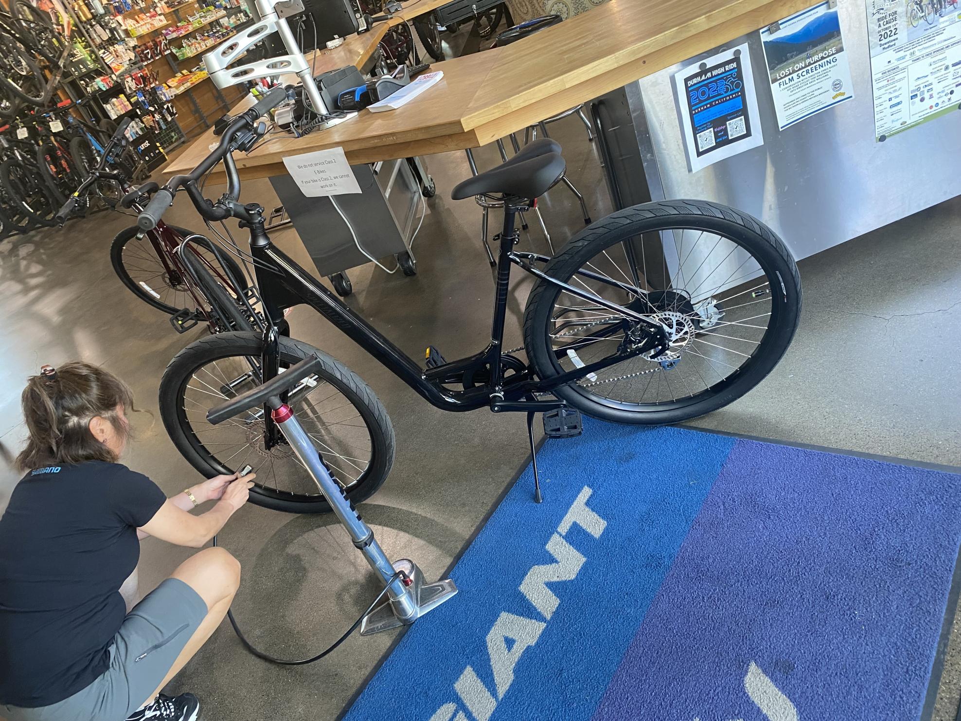 2022 Specialized Roll Low-Entry Black