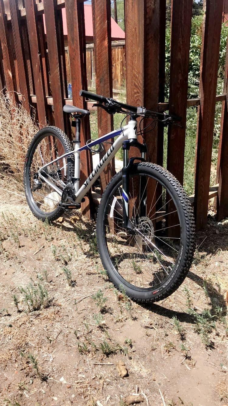 2019 Specialized Rockhopper Silver, gray or bare metal and Purple