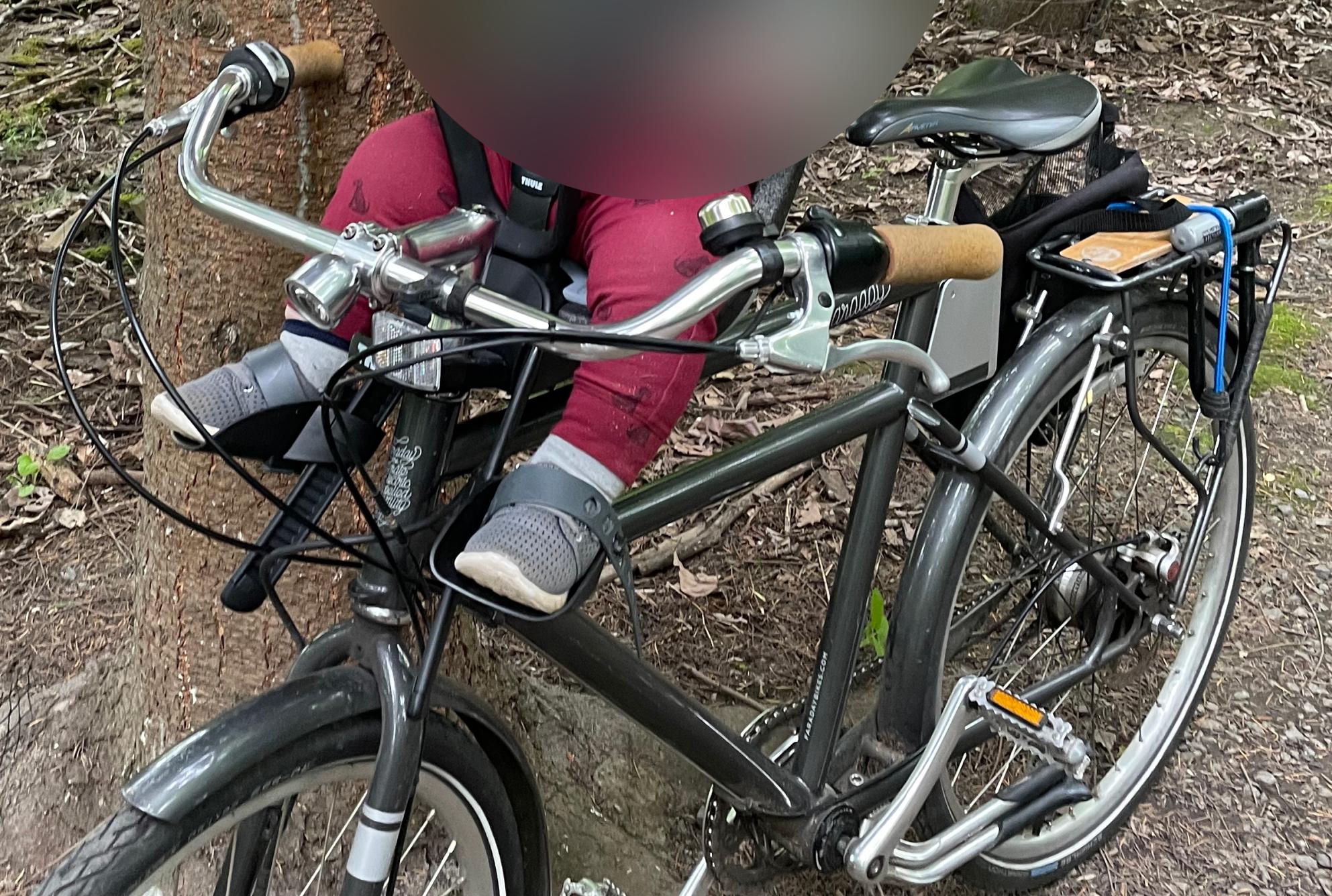 2016 Faraday Porteur S Silver, gray or bare metal