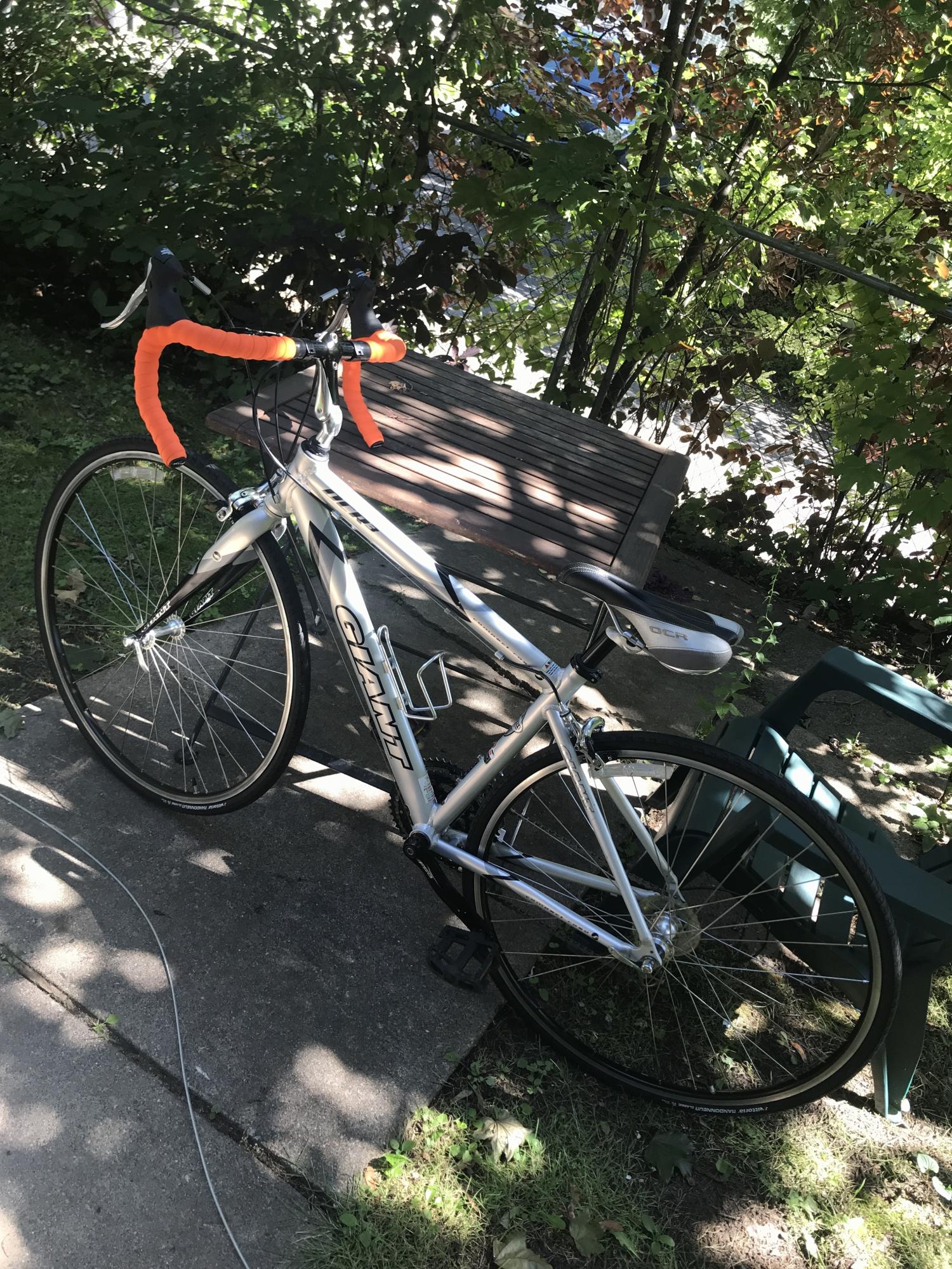 2003 Giant OCR 3 Silver, gray or bare metal