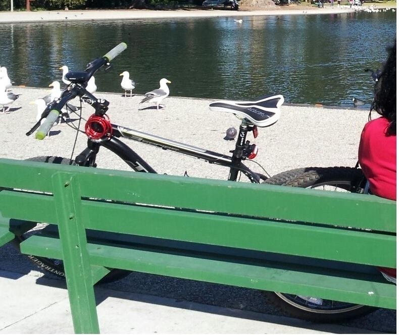 2011 Trek 3700D  Black