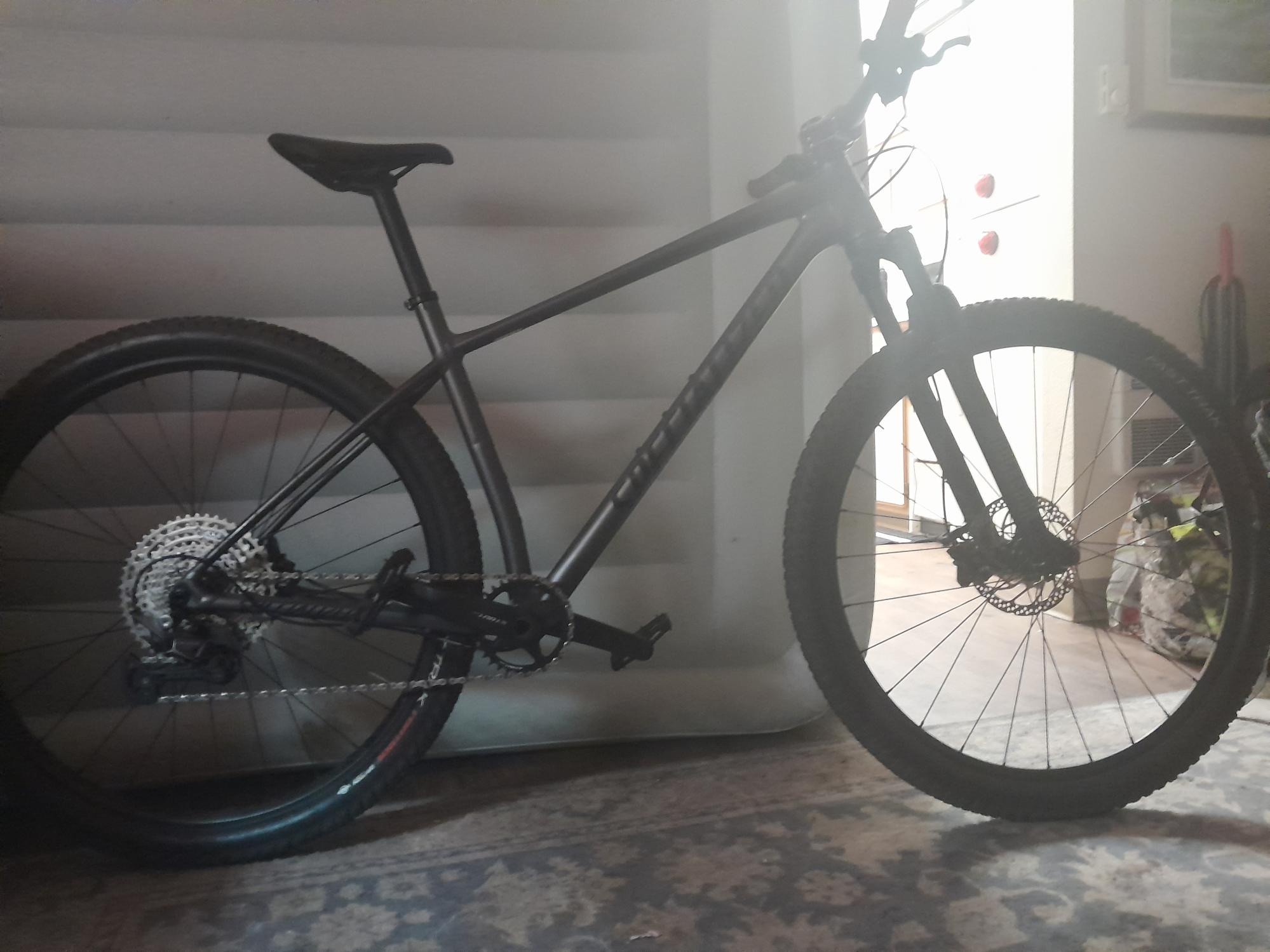 2022 Specialized Silver, gray or bare metal and Black