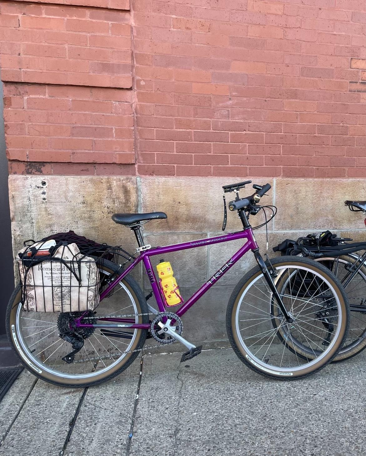 1993 Trek 930 Purple