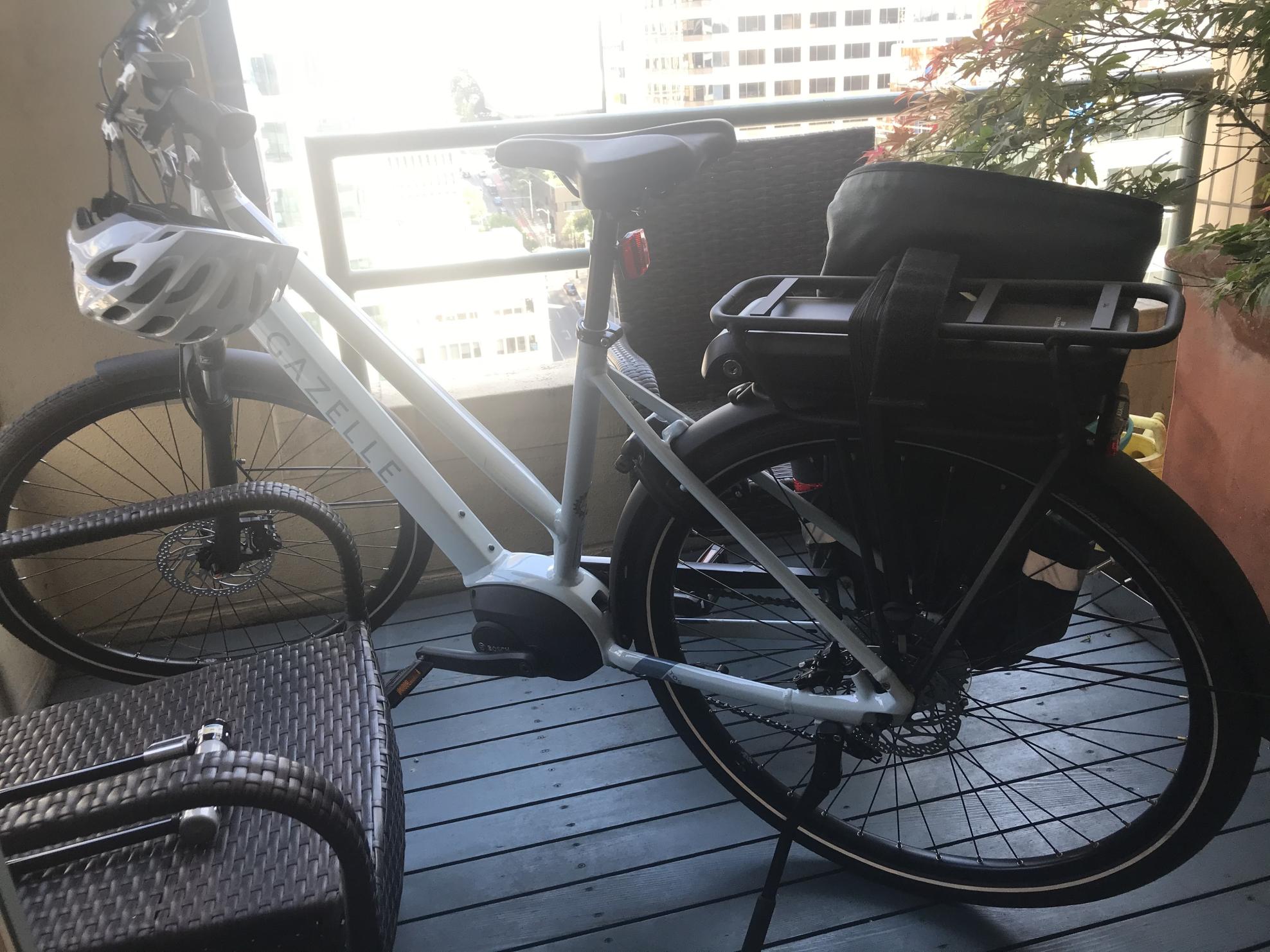 2020 Gazelle Medeo Silver, gray or bare metal