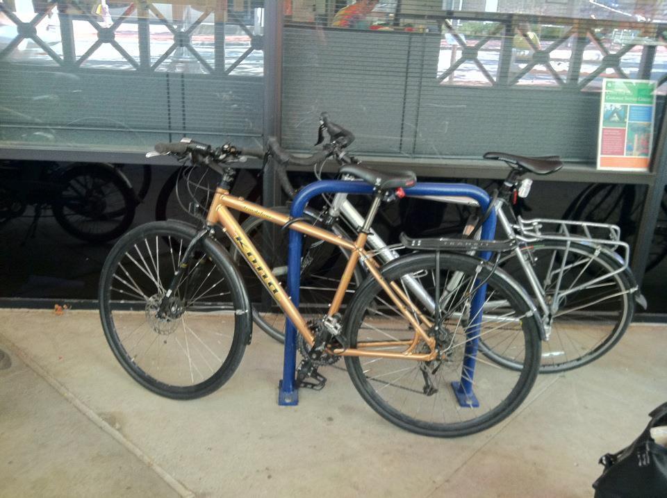 Kona dew deluxe Yellow or Gold