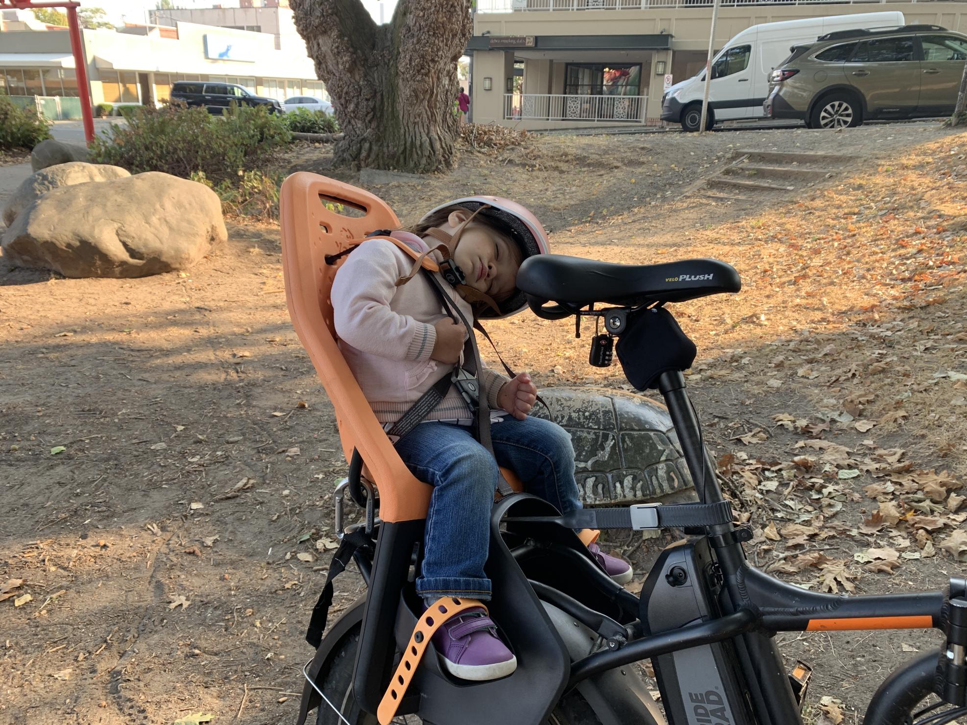 2019 Rad Power Bikes Black