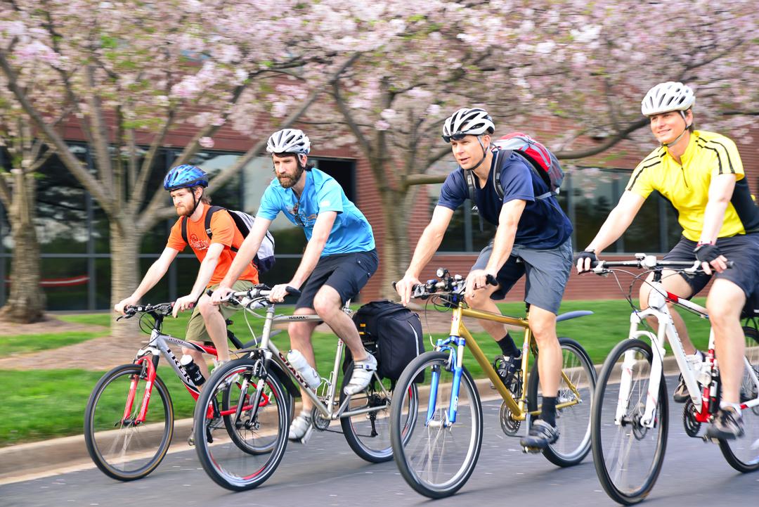 1998 Giant Iguana SE Silver or Gray and Red